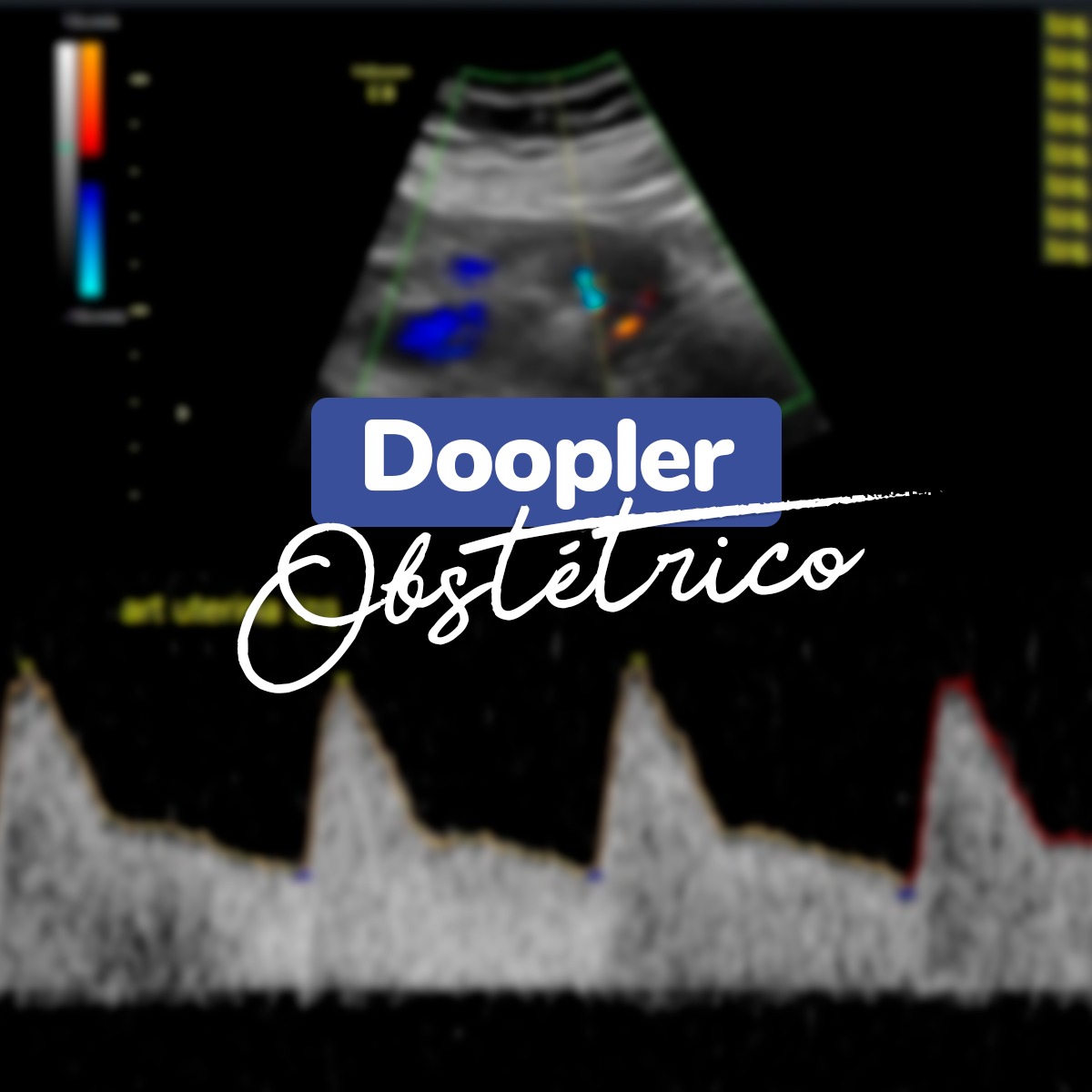 WhatsApp Image 2024-01-18 at 13.39.57 (2)