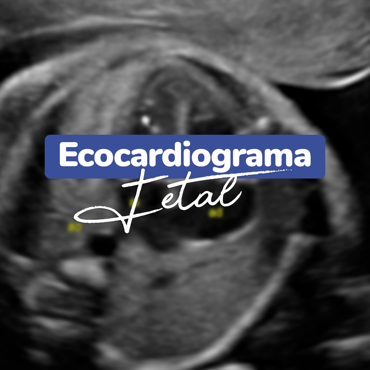 WhatsApp Image 2024-01-18 at 13.39.57