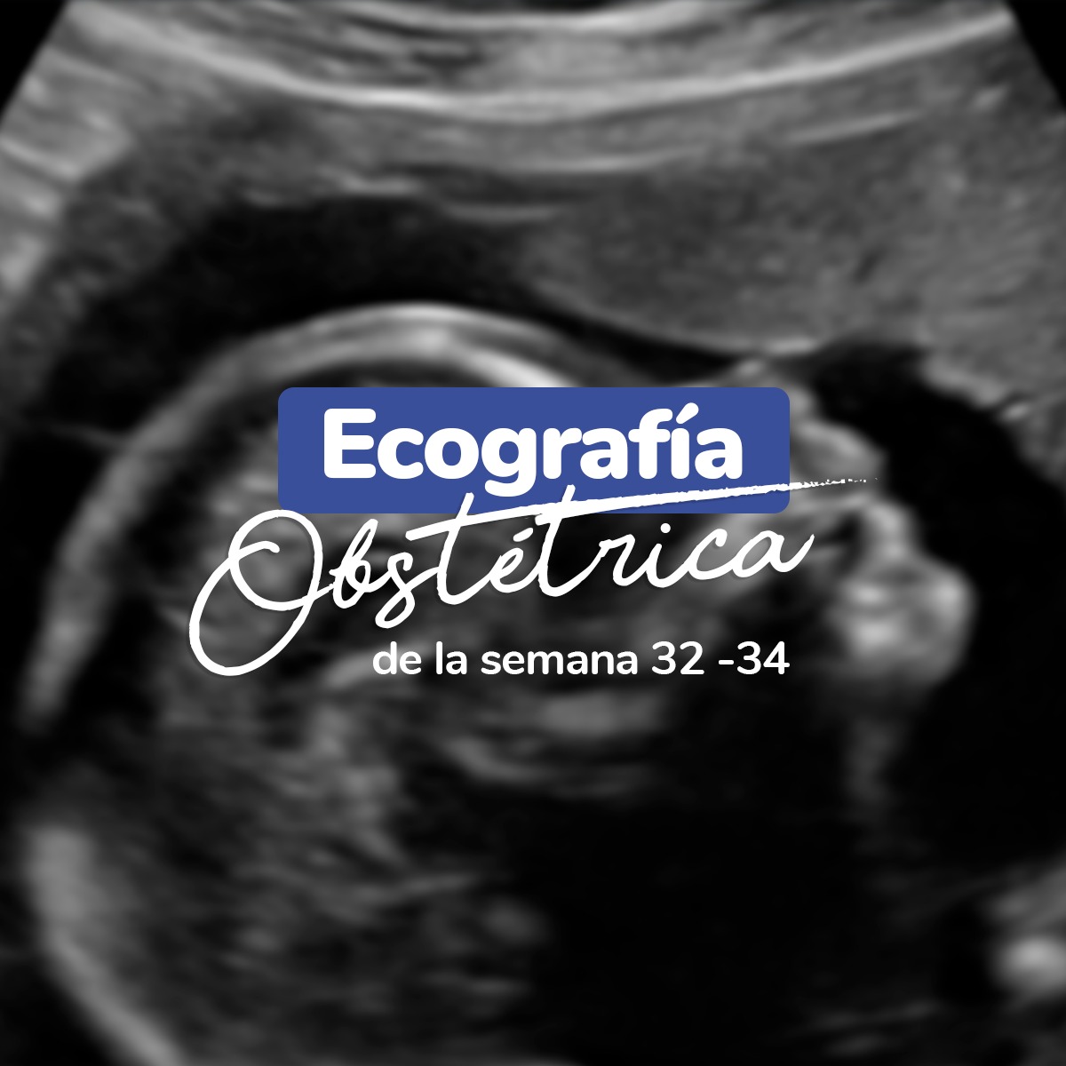 WhatsApp Image 2024-01-18 at 13.39.59